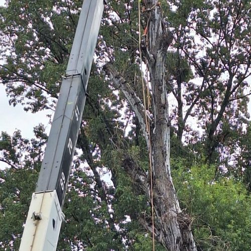 WhatsApp Image 2026-02-26 at 16.02.58 (2)