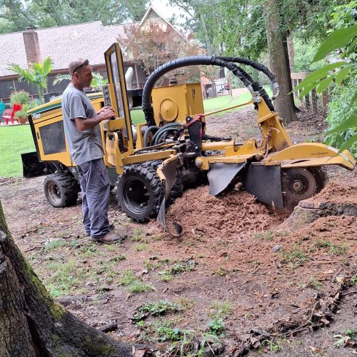 WhatsApp Image 2026-02-26 at 16.02.59 (2)