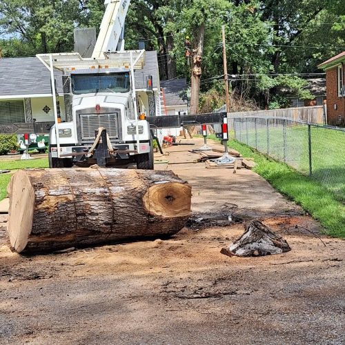 WhatsApp Image 2026-02-26 at 16.02.59